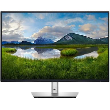 LCD P2425E - 24,07 LED 8ms HDMI DP Pivot